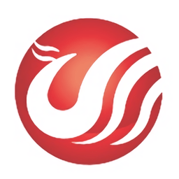 GOLDYEAR选购攻略